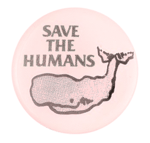 Your Guide to Marine Conservation Without a Degree: Turn Passion Into Action